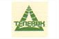 Корпорация «Телевик»